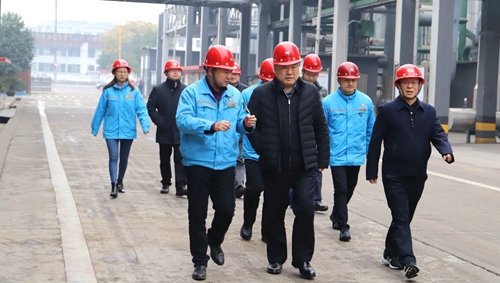 袁衛(wèi)東到股份、楚星和新項(xiàng)目現(xiàn)場調(diào)研(圖1)