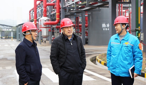 袁衛(wèi)東到股份、楚星和新項(xiàng)目現(xiàn)場調(diào)研(圖5)