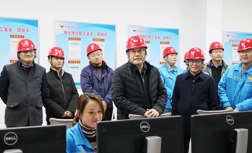 袁衛(wèi)東到股份、楚星和新項(xiàng)目現(xiàn)場調(diào)研(圖6)