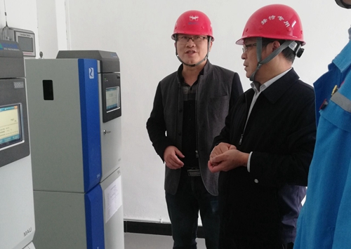 王大真到松滋肥業、楚星公司現場辦公(圖3)