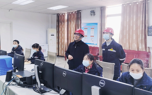 王大真到股份公司現場調研(圖1) 王大真到股份公司現場調研(圖1)