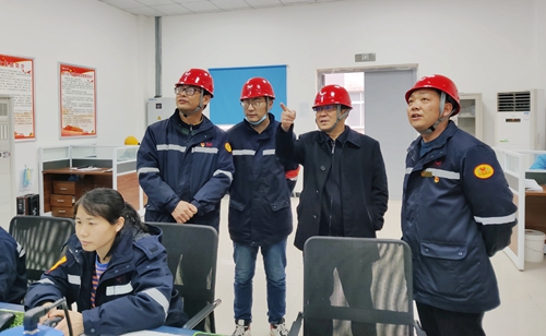 王大真到松滋肥業(yè)、楚星公司現(xiàn)場檢查指導工作(圖1)