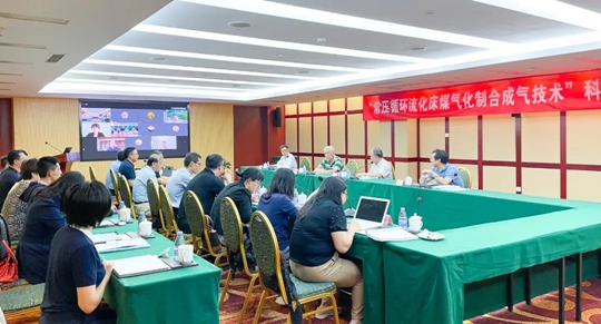 通過鑒定！新疆宜化一項技術達國際領先水平！(圖1)