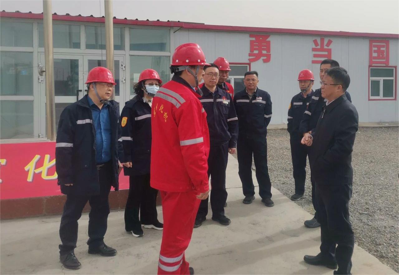 王大真一行到化機公司新疆工程項目部現場調研(圖1)