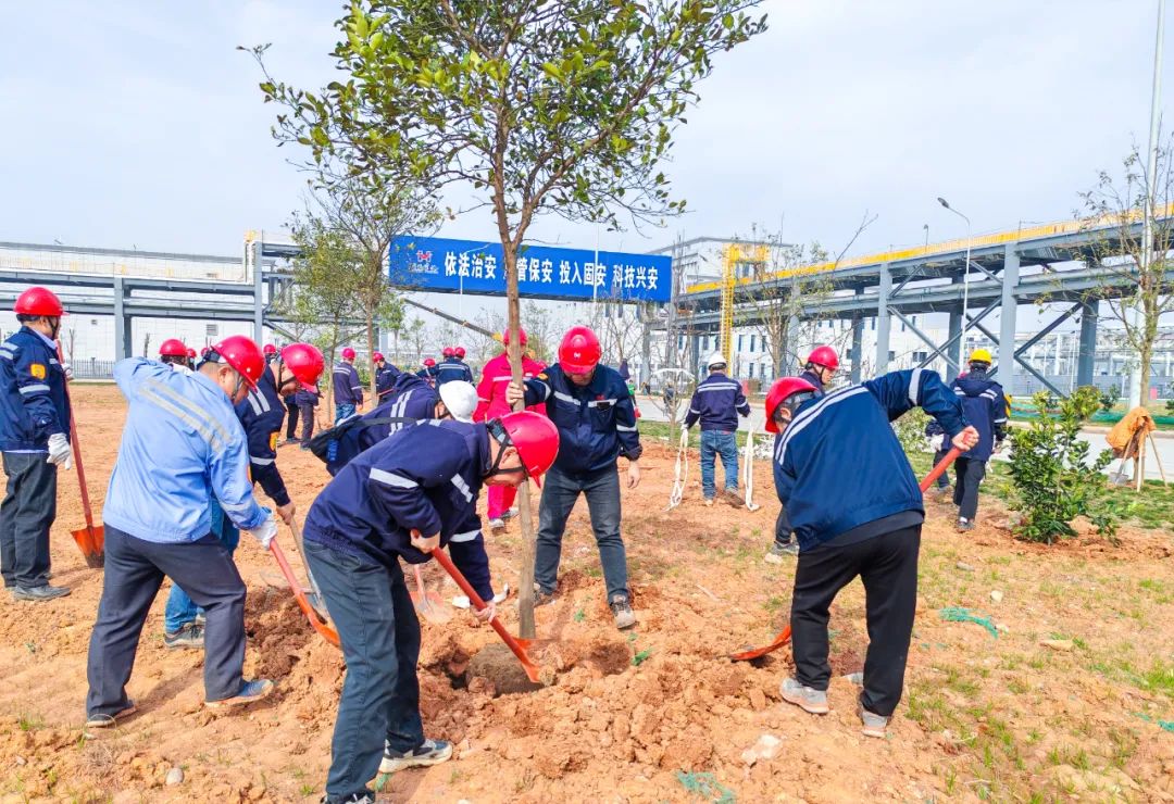 “植”此青綠共“樹”未來!集團各公司開展植樹活動(圖8) “植”此青綠共“樹”未來!集團各公司開展植樹活動(圖8)