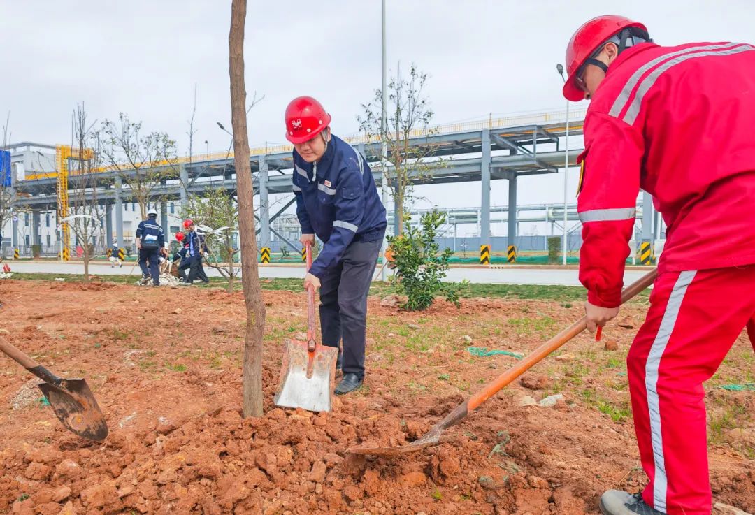 “植”此青綠共“樹”未來!集團各公司開展植樹活動(圖11) “植”此青綠共“樹”未來!集團各公司開展植樹活動(圖11)