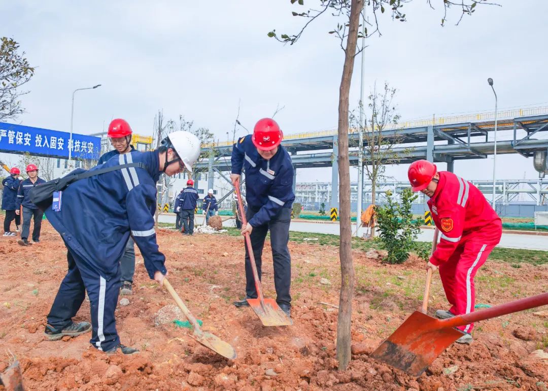 “植”此青綠共“樹”未來!集團各公司開展植樹活動(圖10) “植”此青綠共“樹”未來!集團各公司開展植樹活動(圖10)