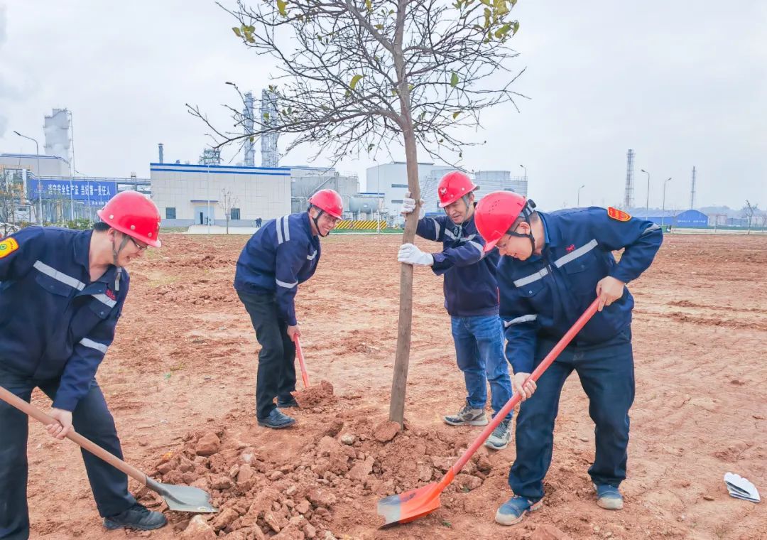 “植”此青綠共“樹”未來!集團各公司開展植樹活動(圖9) “植”此青綠共“樹”未來!集團各公司開展植樹活動(圖9)
