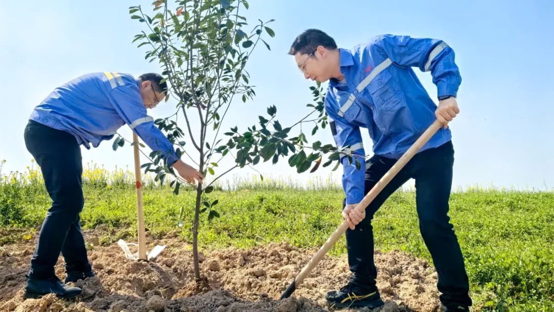 “植”此青綠共“樹”未來!集團各公司開展植樹活動(圖15) “植”此青綠共“樹”未來!集團各公司開展植樹活動(圖15)