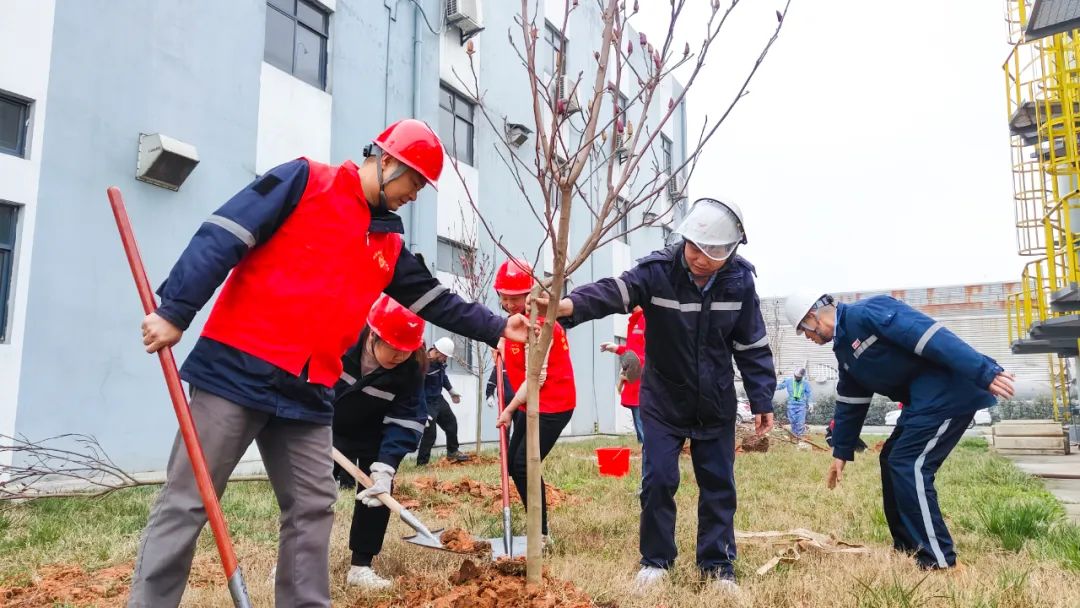 “植”此青綠共“樹”未來!集團各公司開展植樹活動(圖26) “植”此青綠共“樹”未來!集團各公司開展植樹活動(圖26)