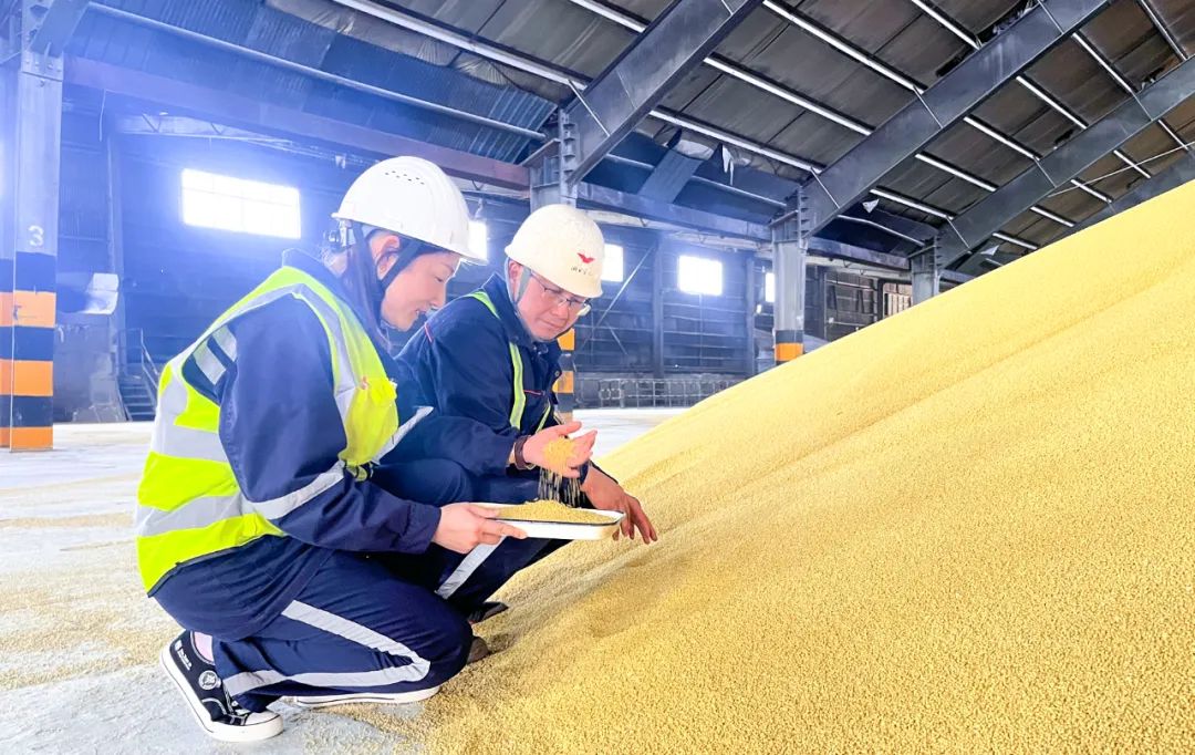 股份公司:精準施策促提升,全力奪取“開門紅”(圖4) 股份公司:精準施策促提升,全力奪取“開門紅”(圖4)