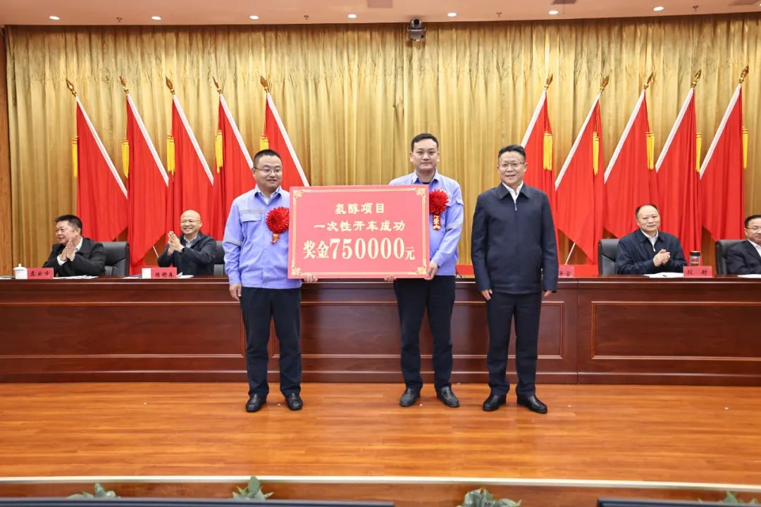 宜化集團召開氨醇項目成功投產(chǎn)總結表彰大會(圖3)