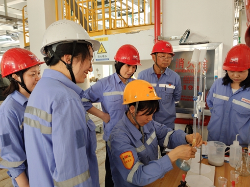 亮身份 亮承諾 亮業(yè)績——宜化黨員一線攻堅助推項目“拔節(jié)生長”