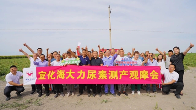 宜化海大力尿素示范田測產觀摩會成功舉辦(圖1)