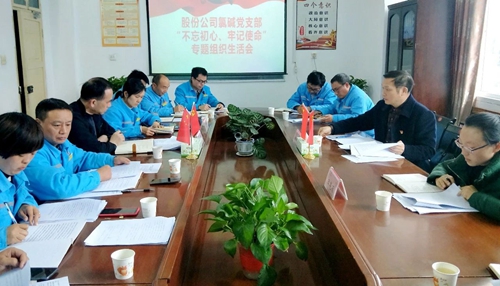 向宇飛列席指導(dǎo)股份公司氯堿黨支部“不忘初心、牢記使命”專題組織生活會