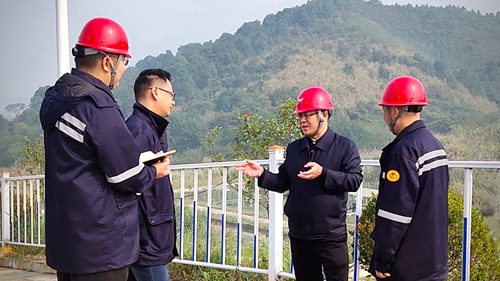 王大真到松滋肥業、楚星公司、新材料公司和股份公司現場調研